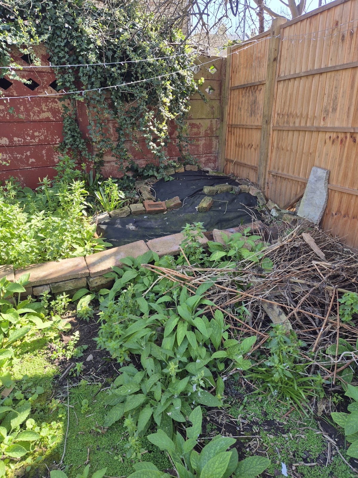 South East London Garden Maintenance Contractors in Peckham London